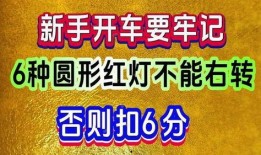 独家爆料网免费入口,免费入口带你畅游爆料网世界