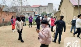 朝阳黑料 六安第一网红大黑哥,揭秘朝阳黑料背后的风云人物